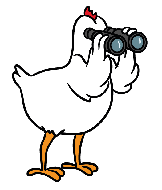 Cartoon chicken looking through binoculars